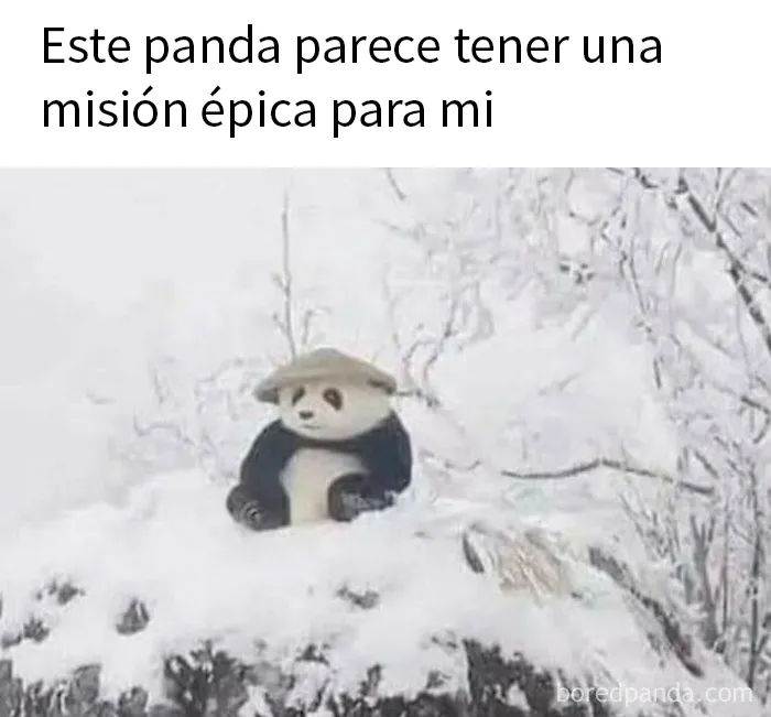 20 Publicaciones geniales de esta página con «humor para hombres»