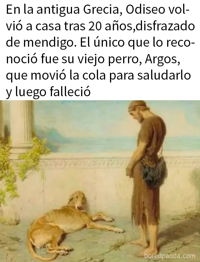 20 Publicaciones geniales de esta página con «humor para hombres»