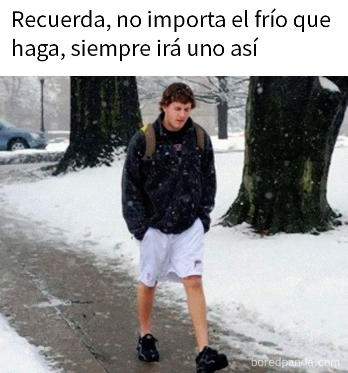 20 Publicaciones geniales de esta página con «humor para hombres»