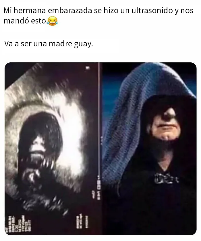 20 Publicaciones geniales de esta página con «humor para hombres»