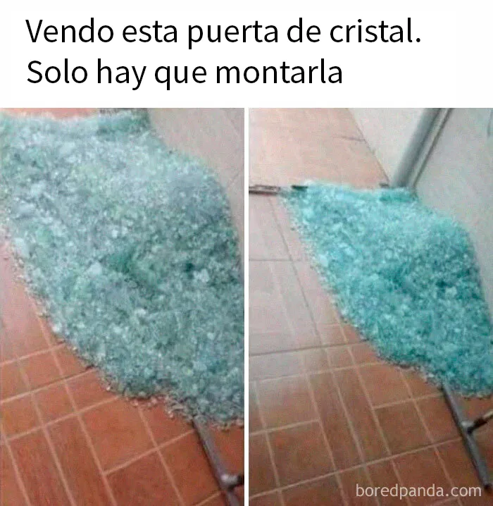 20 Memes absurdos y divertidos para tomarte un descanso de todo