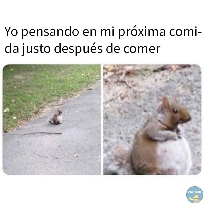 20 Divertidas publicaciones que se burlan de todo y de todos