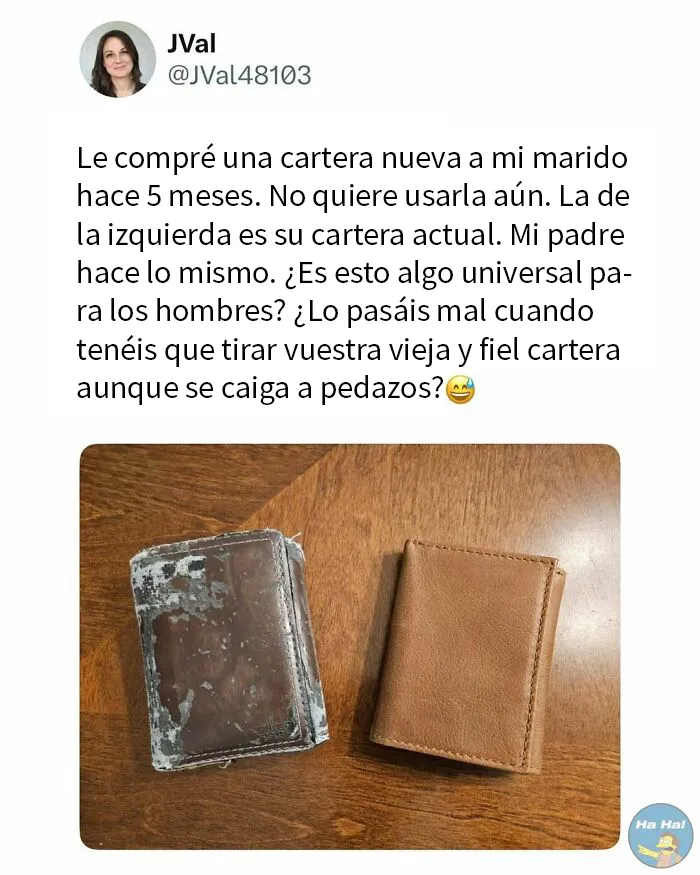 20 Divertidas publicaciones que se burlan de todo y de todos