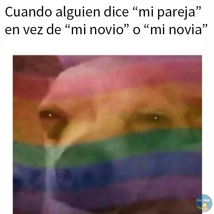 20 Divertidas publicaciones que se burlan de todo y de todos