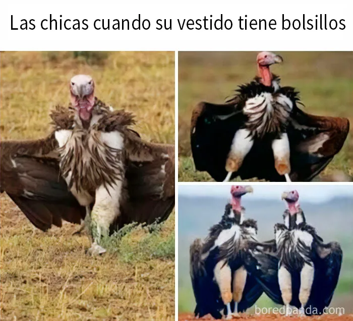 20 Divertidas publicaciones que se burlan de todo y de todos