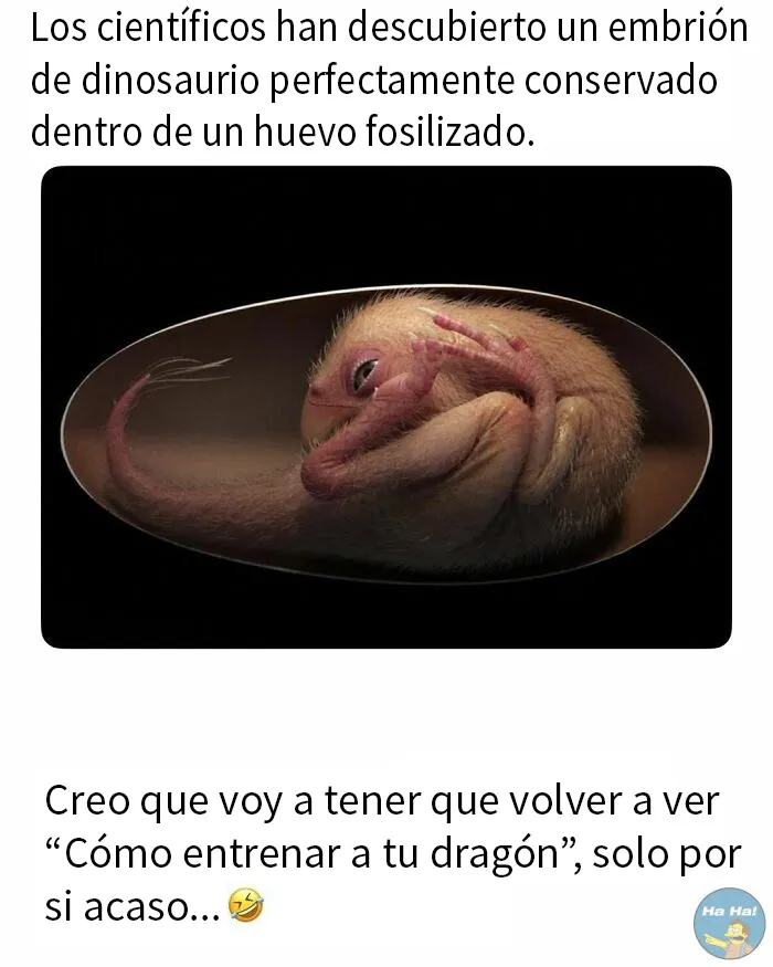 20 Divertidas publicaciones que se burlan de todo y de todos