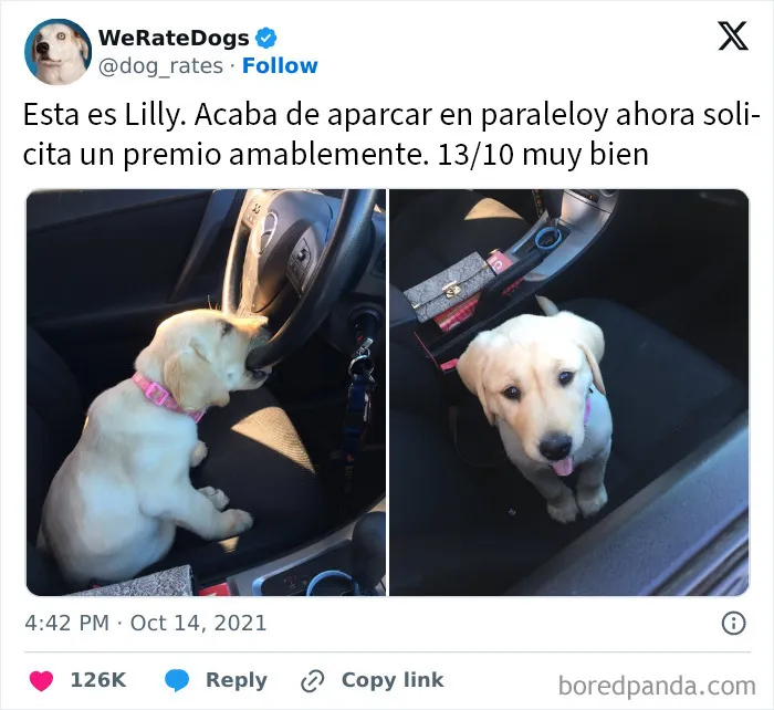 20 Publicaciones reconfortantes para alegrarte un poco el día