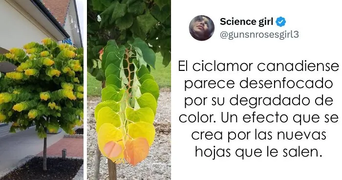 20 Publicaciones reconfortantes para alegrarte un poco el día