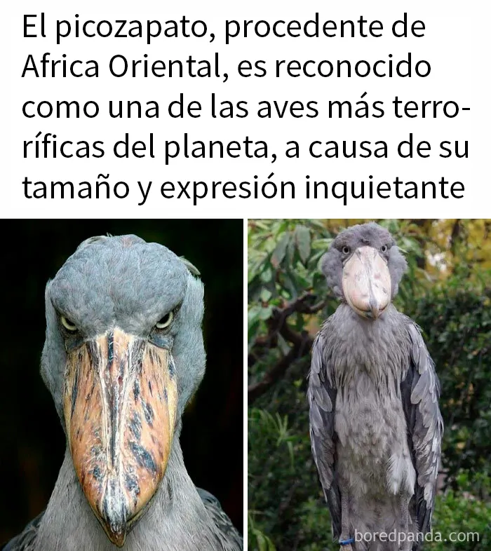 20 Datos inquietantes sobre el mundo en el que vivimos