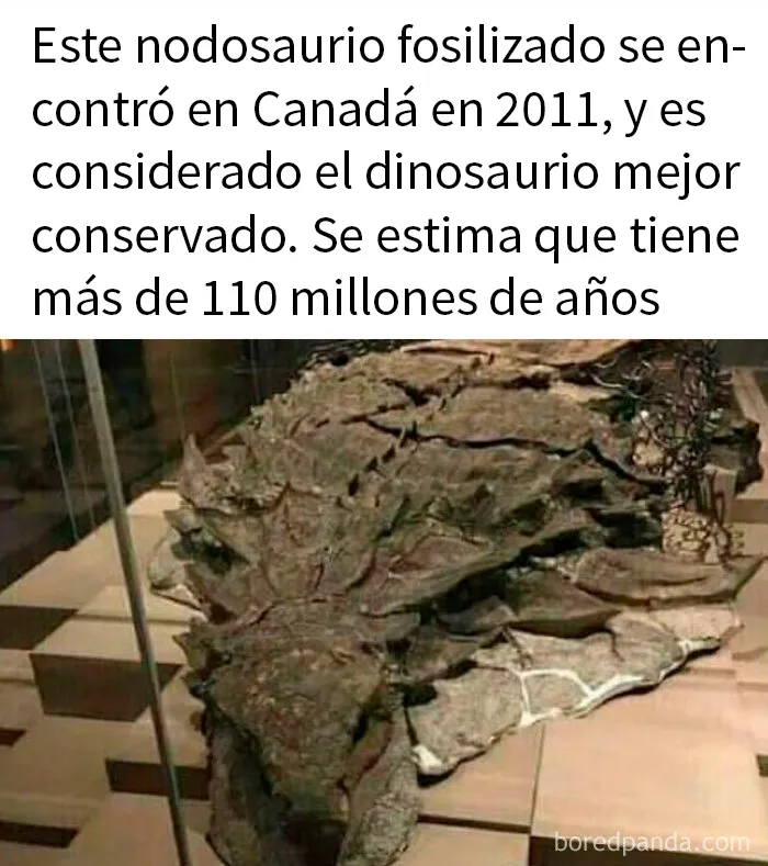 20 Datos inquietantes sobre el mundo en el que vivimos