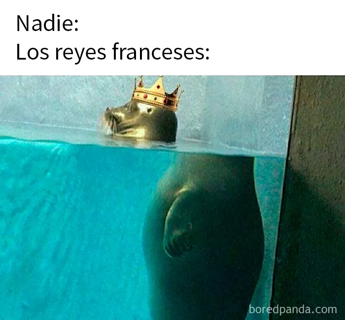 20 Divertidos memes que explican la historia de forma muy distinta a los libros