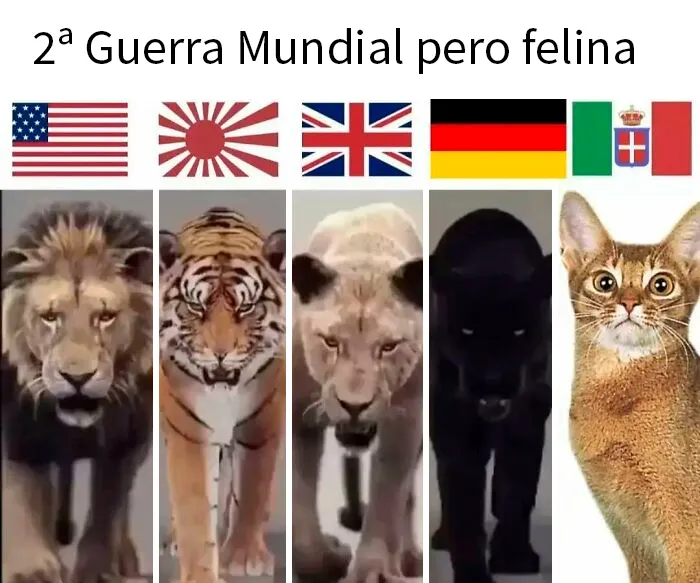 20 Divertidos memes que explican la historia de forma muy distinta a los libros