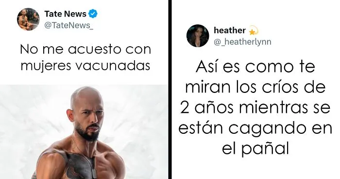 20 Insultos salvajes encontrados en Internet y que eran demasiado buenos para no compartirlos