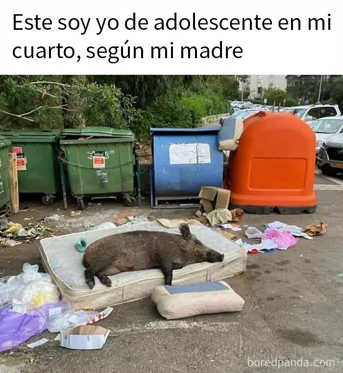 20 Divertidos memes que ojear cuando no tengas otra cosa que hacer