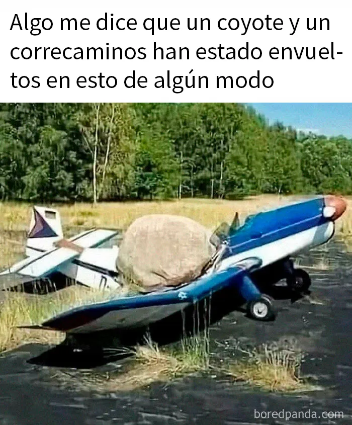 20 Divertidos memes que ojear cuando no tengas otra cosa que hacer
