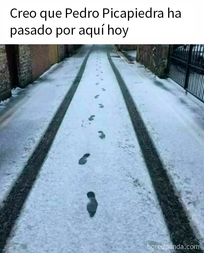20 Memes divertidos sobre la estupidez humana