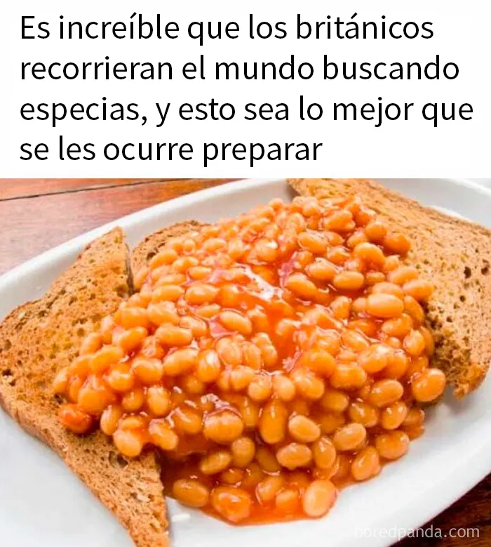 20 Memes divertidos sobre la estupidez humana