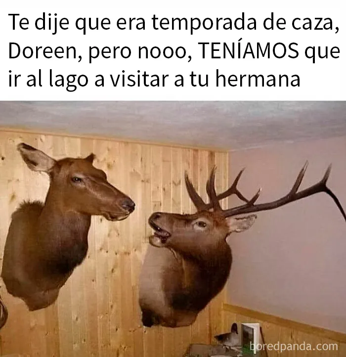 20 Memes divertidos sobre la estupidez humana
