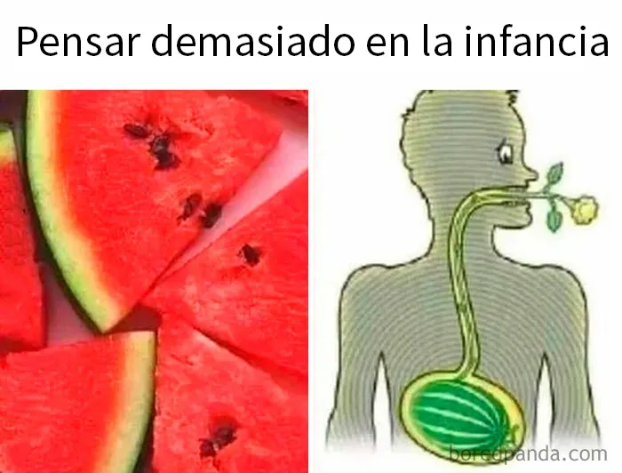 20 Memes divertidos sobre la estupidez humana