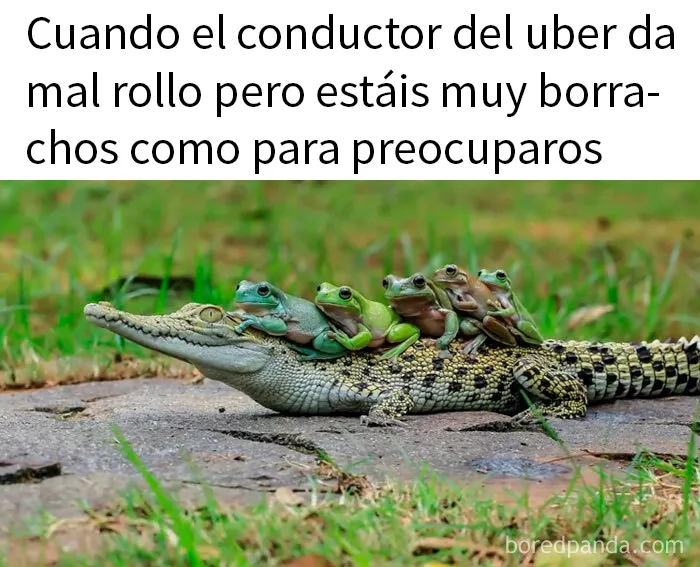 20 Memes divertidos sobre la estupidez humana