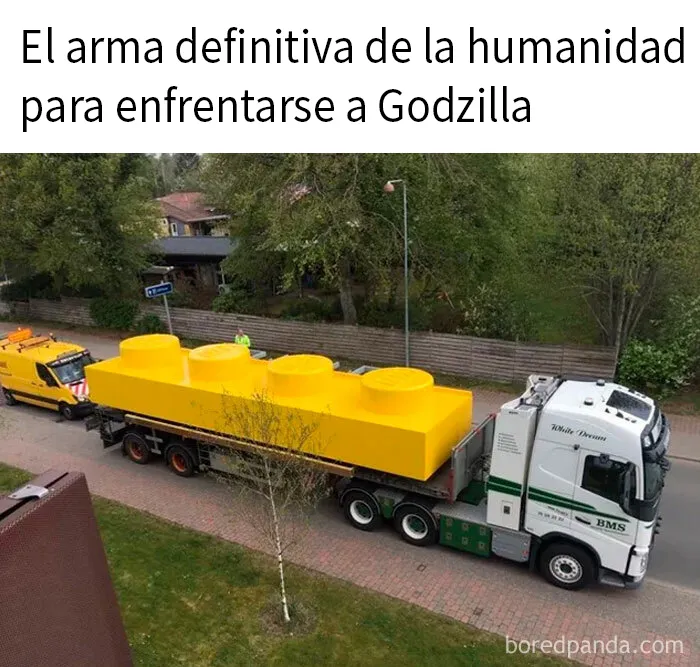 20 Memes divertidos sobre la estupidez humana