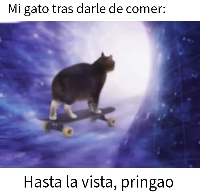 20 Memes divertidos sobre la estupidez humana