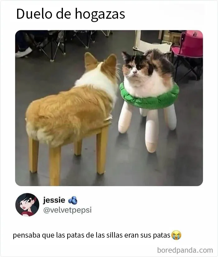 20 Memes que tienen más gracia si dominas el sarcasmo