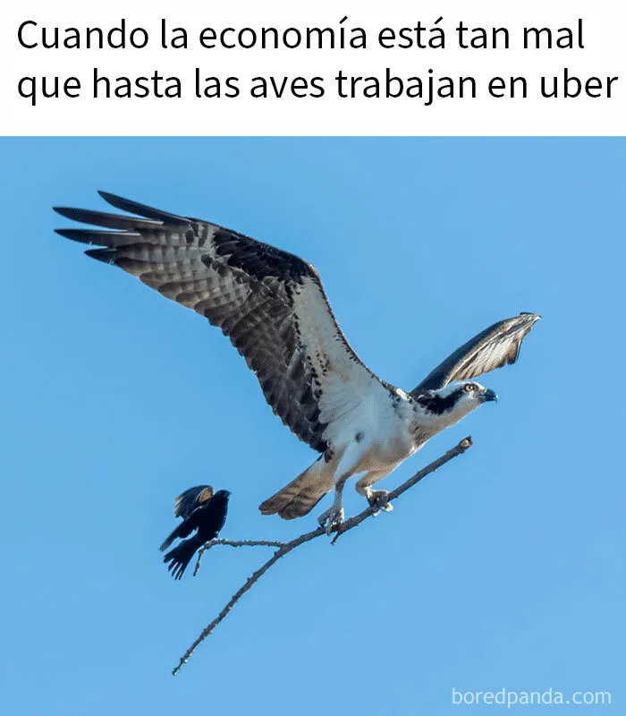 20 Memes que tienen más gracia si dominas el sarcasmo