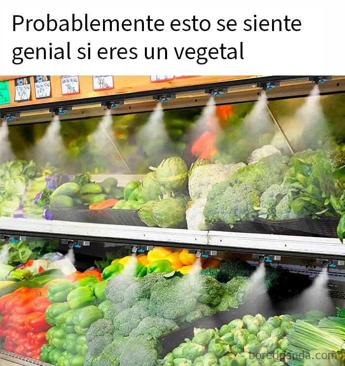 20 Memes que tienen más gracia si dominas el sarcasmo