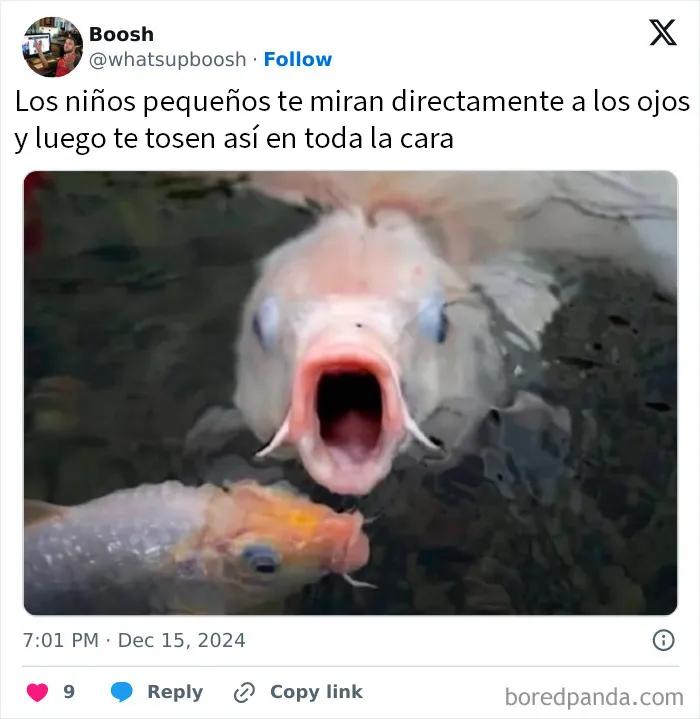 20 Memes que tienen más gracia si dominas el sarcasmo