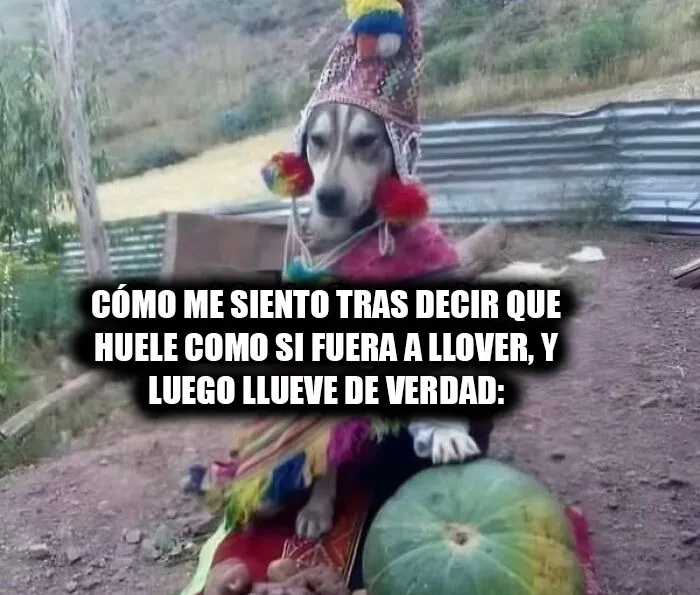 20 Memes científicos que seguro que te hacen reír