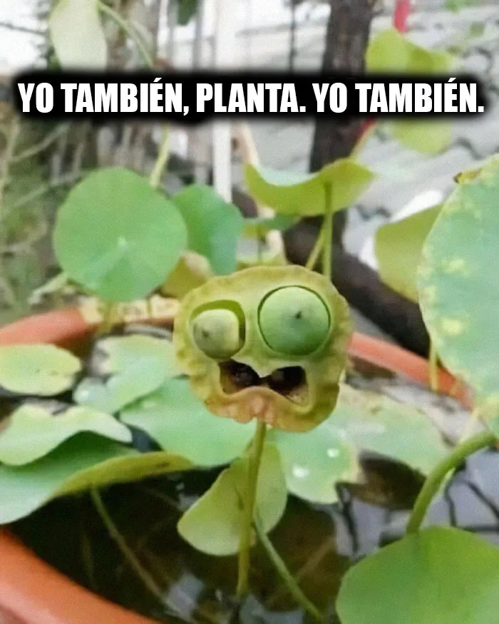 20 Memes científicos que seguro que te hacen reír