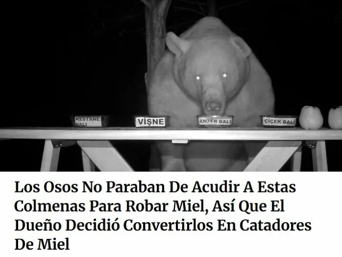 20 De las mejores frases que probablemente nadie había pensado antes
