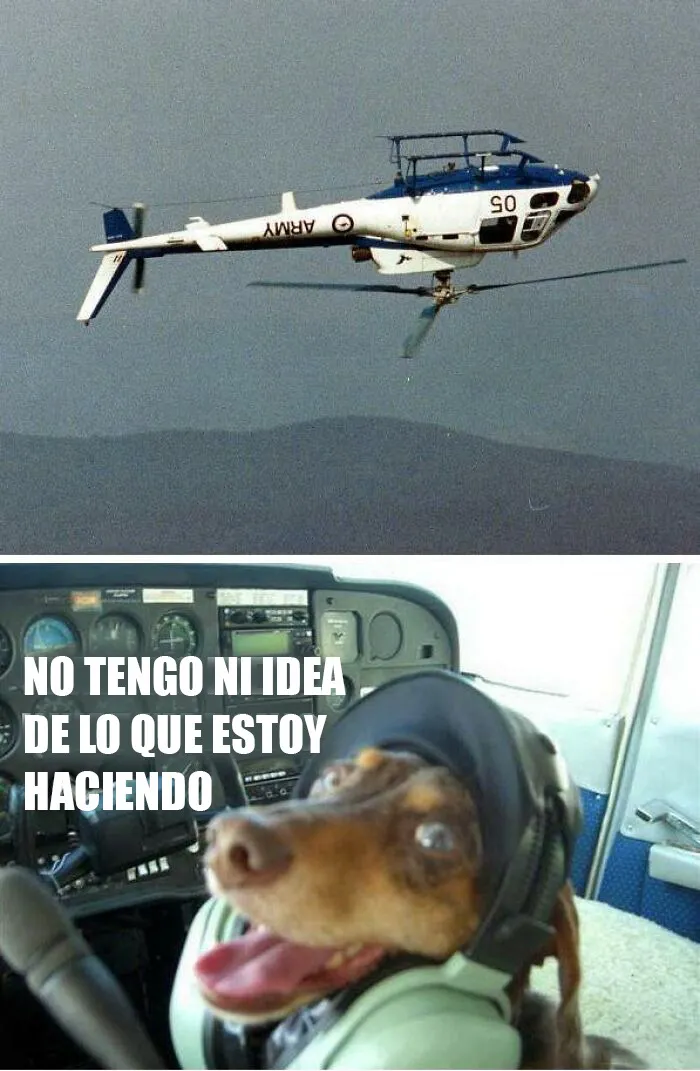 20 Divertidos y sarcásticos memes de esta página especializada en ellos