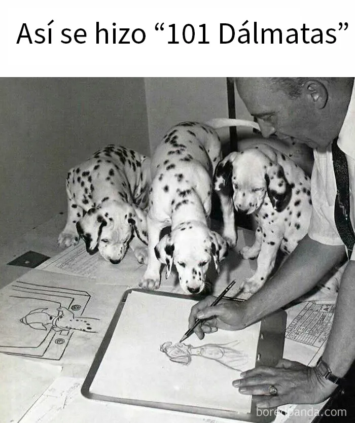 Hombre dibujando bocetos de 101 Dálmatas junto a perros, recordando publicaciones del pasado para mayores.