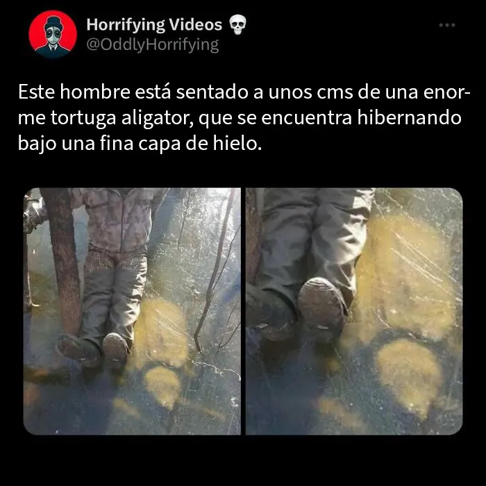 20 Historias extrañamente terroríficas que pondrán a prueba tus nervios