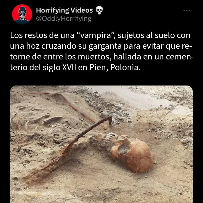 20 Historias extrañamente terroríficas que pondrán a prueba tus nervios