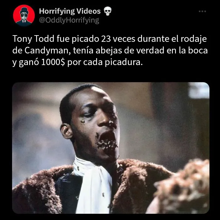 20 Historias extrañamente terroríficas que pondrán a prueba tus nervios