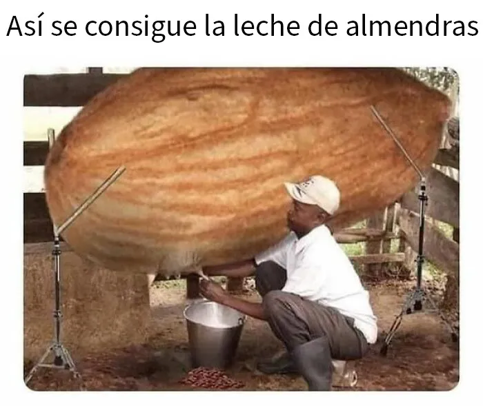 20 Publicaciones que juegan peligrosamente en el límite de lo divertido y lo ofensivo