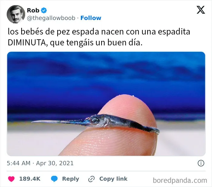 20 Memes científicos que seguro que te hacen reír