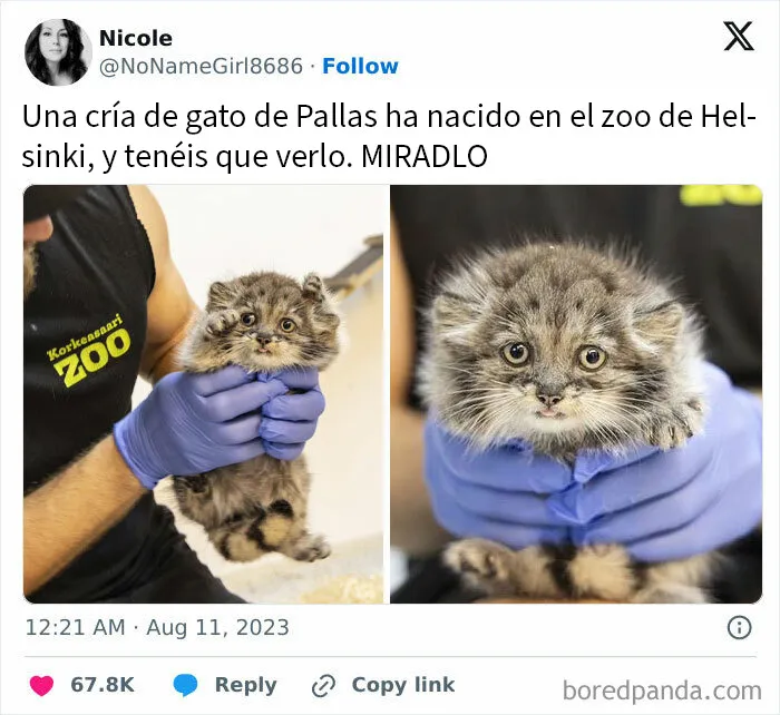 20 Memes científicos que seguro que te hacen reír