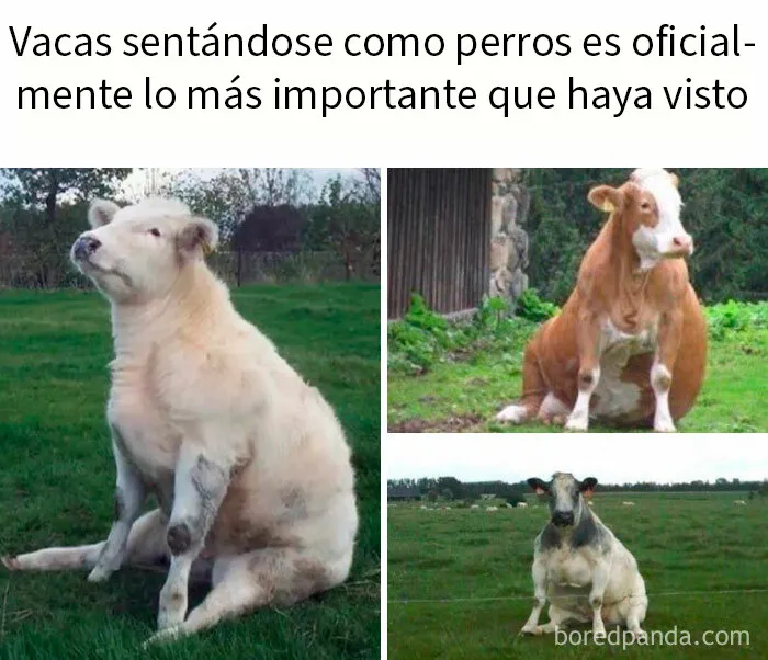 20 Memes científicos que seguro que te hacen reír