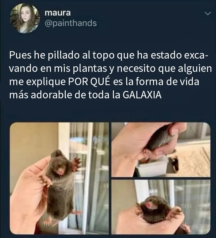 20 Memes científicos que seguro que te hacen reír