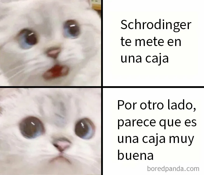 20 Memes científicos que seguro que te hacen reír
