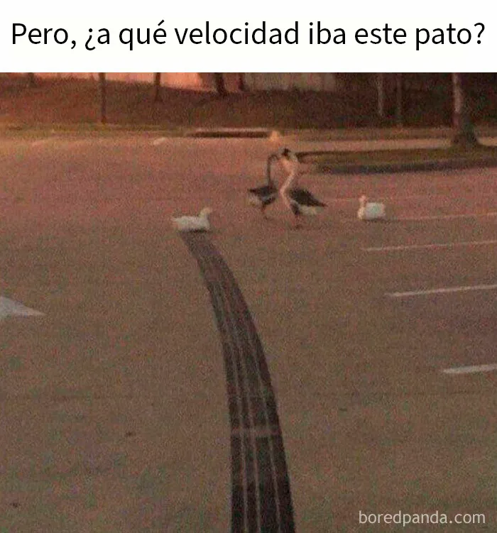 20 Memes científicos que seguro que te hacen reír