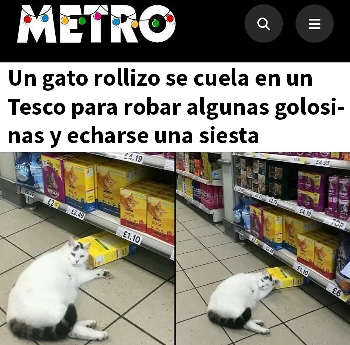 20 Imágenes divertidas de Reino Unido fuera de contexto que definen muy bien el humor británico