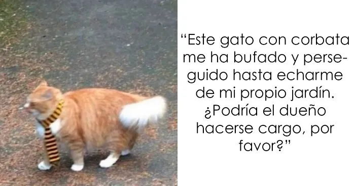 20 Imágenes divertidas de Reino Unido fuera de contexto que definen muy bien el humor británico