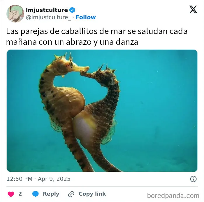 20 Publicaciones e historias fascinantes para los más curiosos
