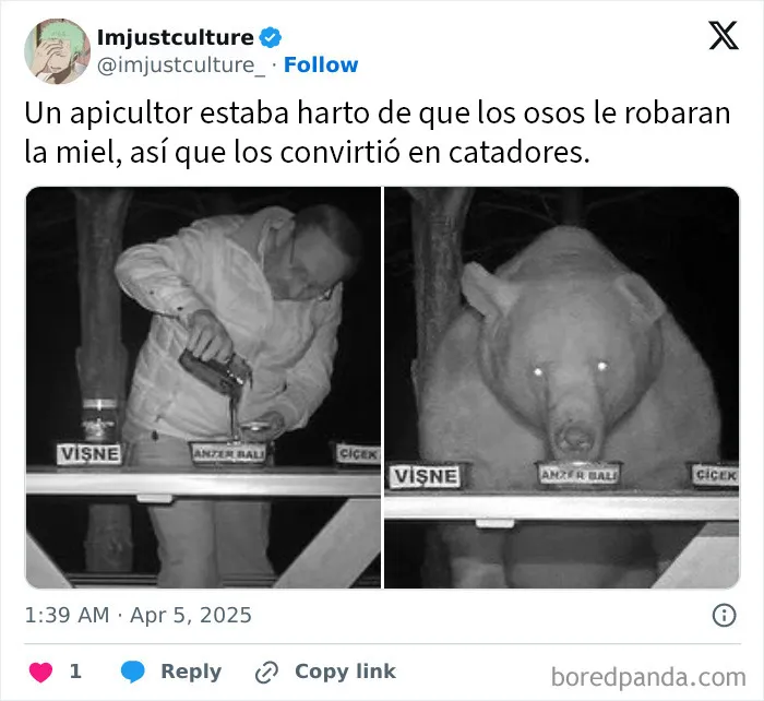 20 Publicaciones e historias fascinantes para los más curiosos