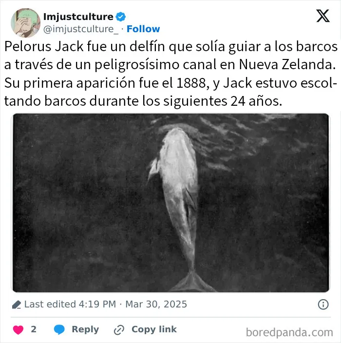 20 Publicaciones e historias fascinantes para los más curiosos